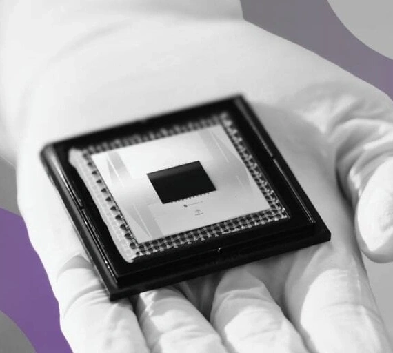 IBM’s Quantum Breakthrough: 120-Qubit ‘Cat’ Raises New Encryption Risks for Bitcoin